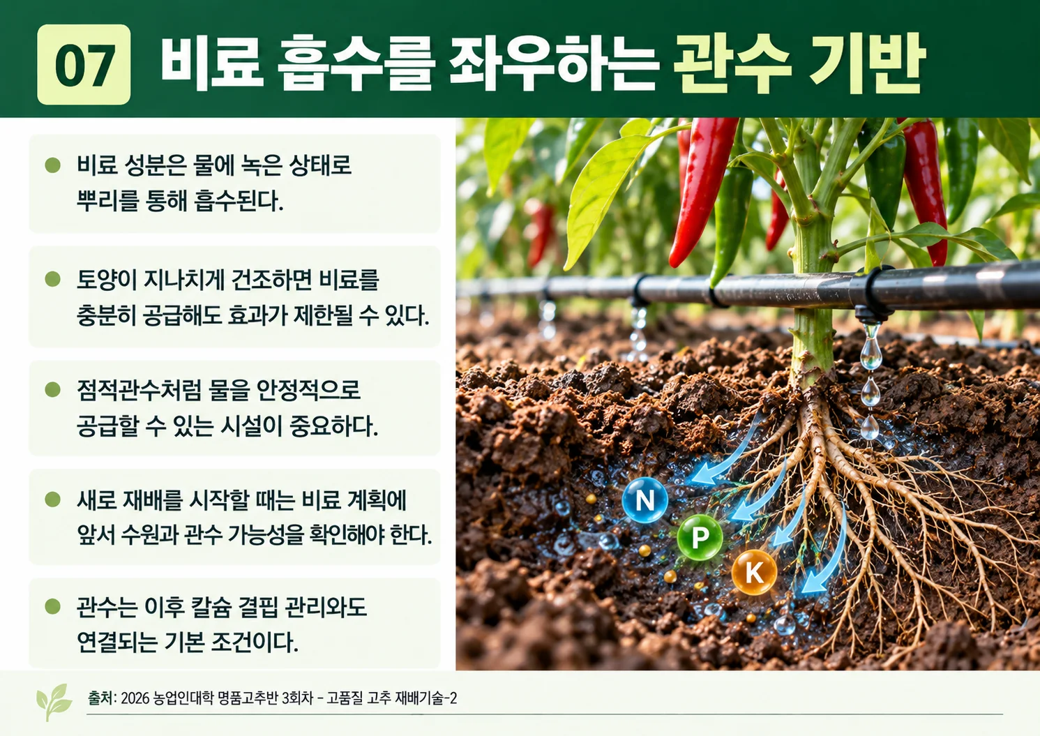 07_관수-기반.webp