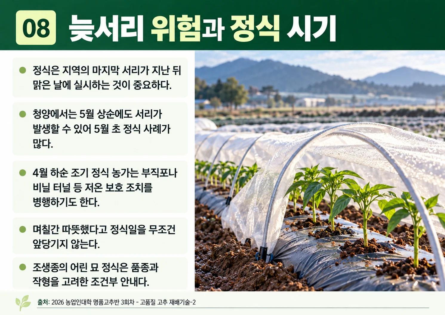 08_늦서리-정식-시기.webp