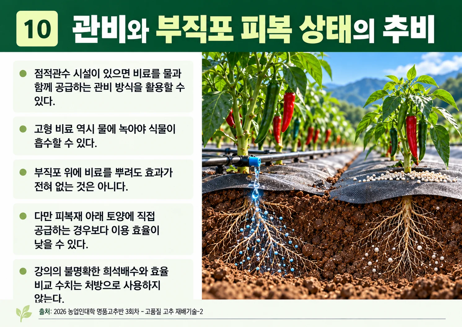 10_관비와-부직포-피복-상태의-추비.webp