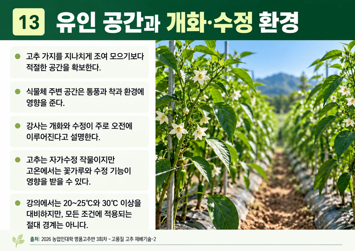 13_유인-공간과-개화·수정-환경.webp