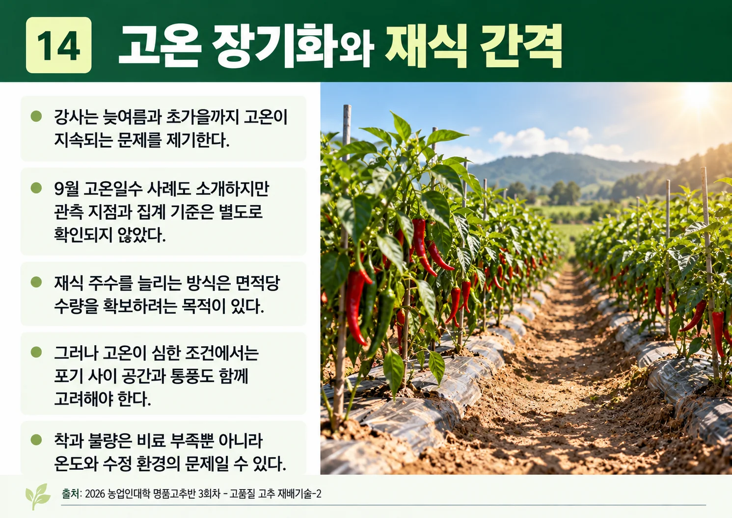 14_고온-장기화와-재식-간격.webp