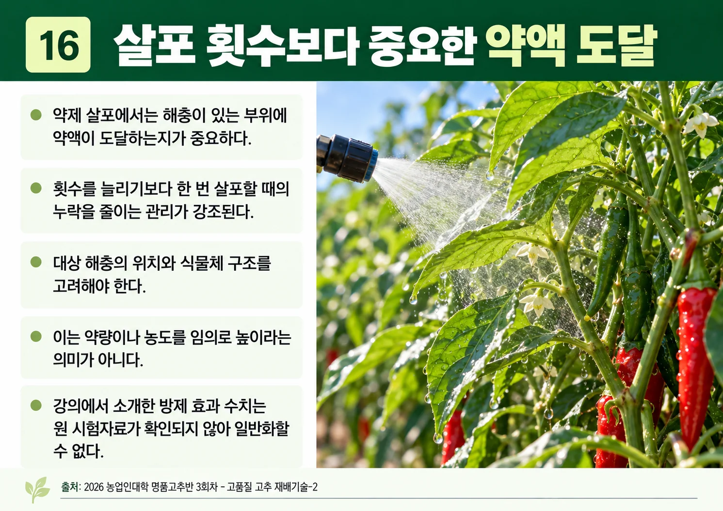 16_살포-횟수보다-중요한-약액-도달.webp