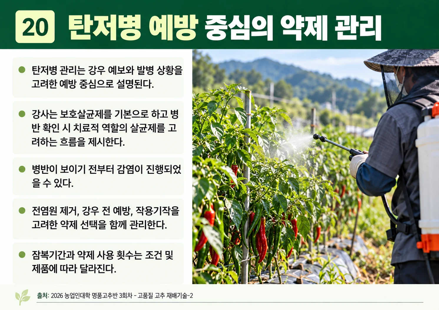 20_탄저병-예방-중심의-약제-관리.webp