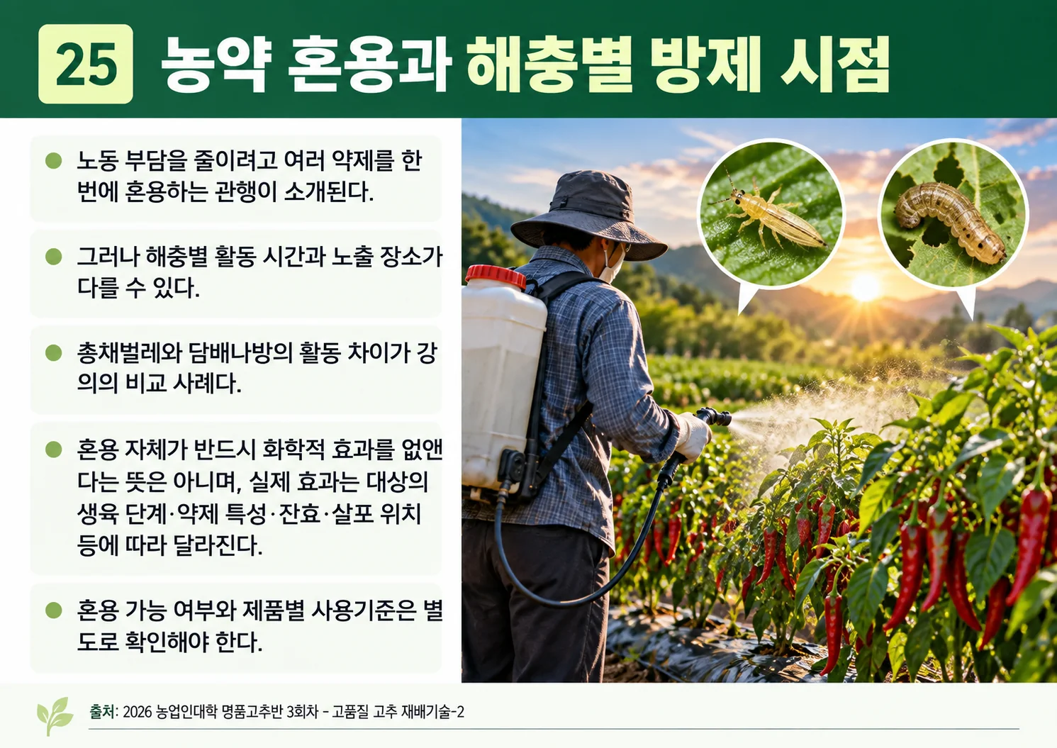 25_농약-혼용과-해충별-방제-시점.webp