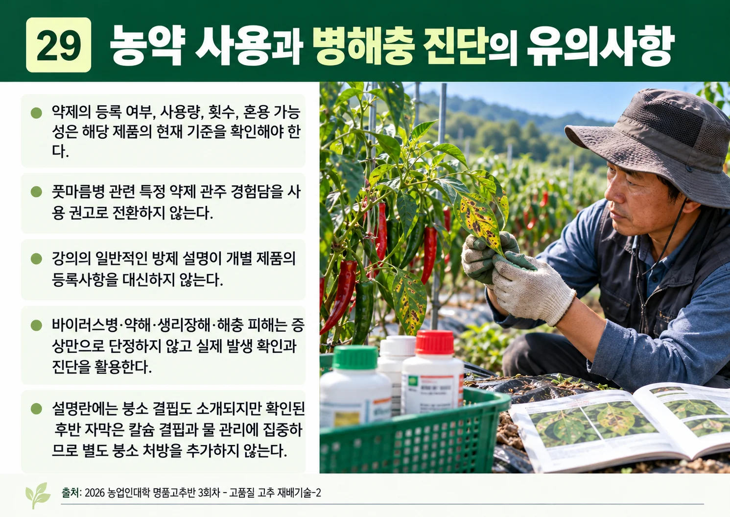 29_농약-사용과-병해충-진단의-유의사항.webp