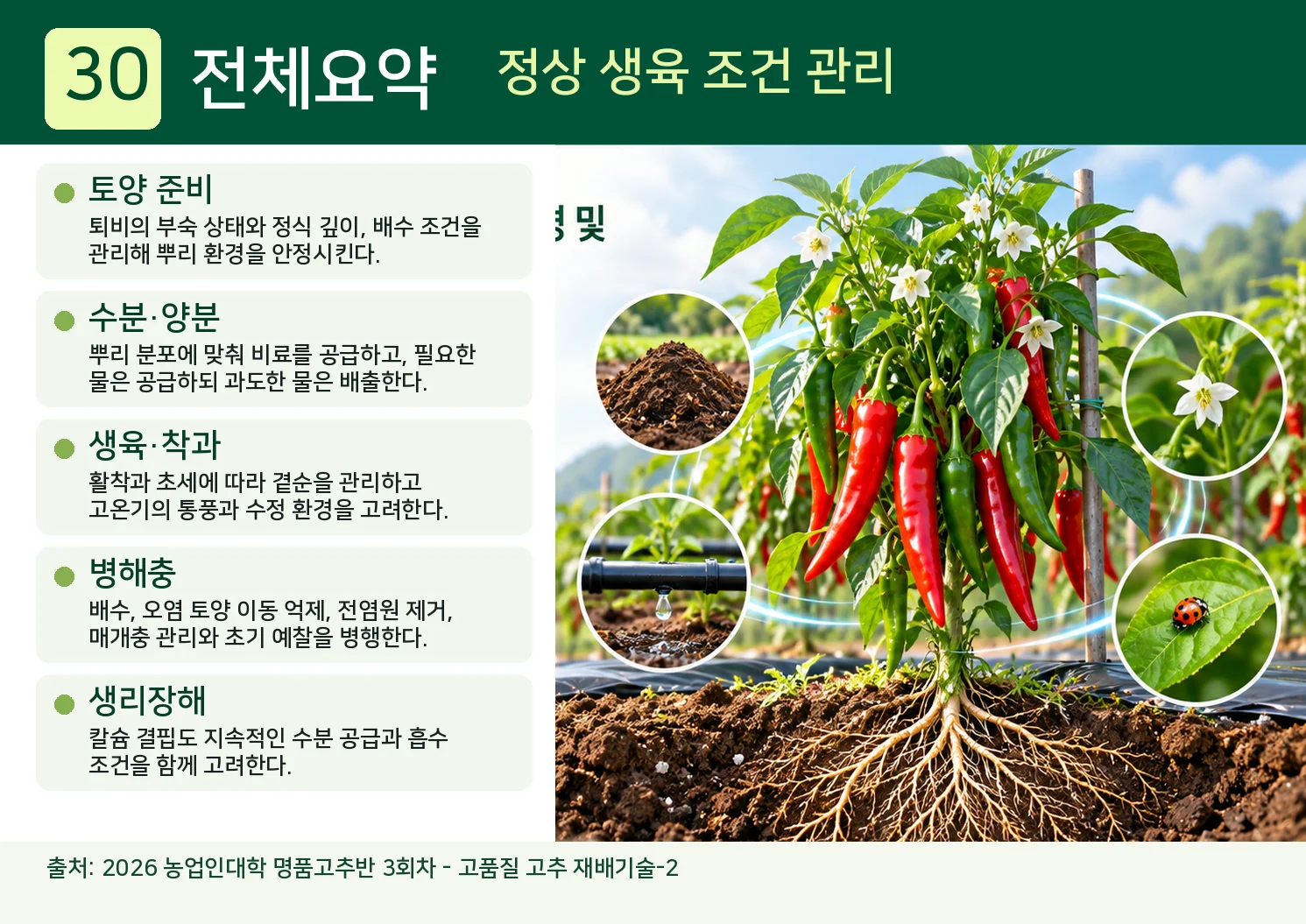 30_전체요약_정상-생육-조건을-유지하는-관리.webp