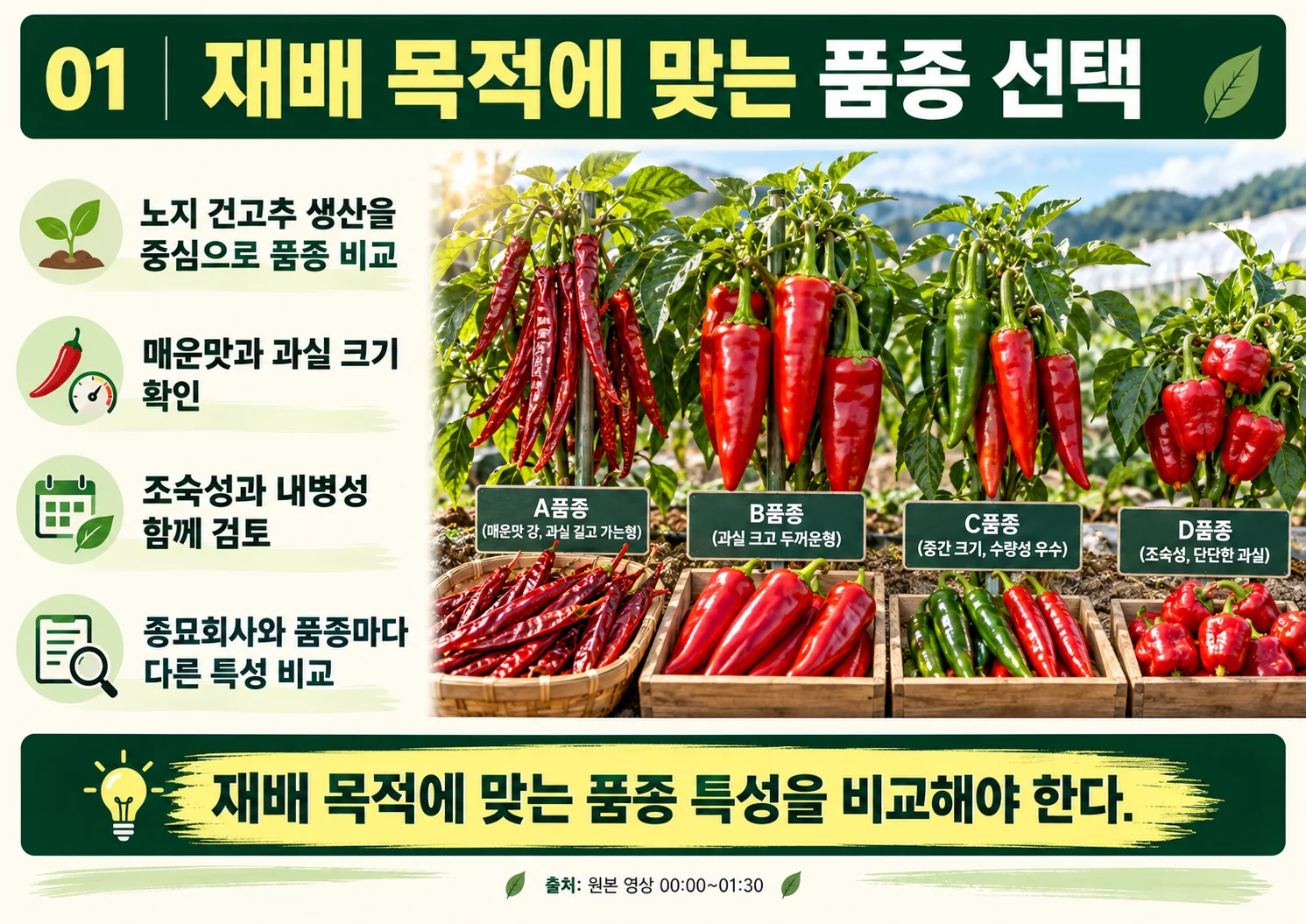 01_재배_목적에_맞는_품종_선택.webp