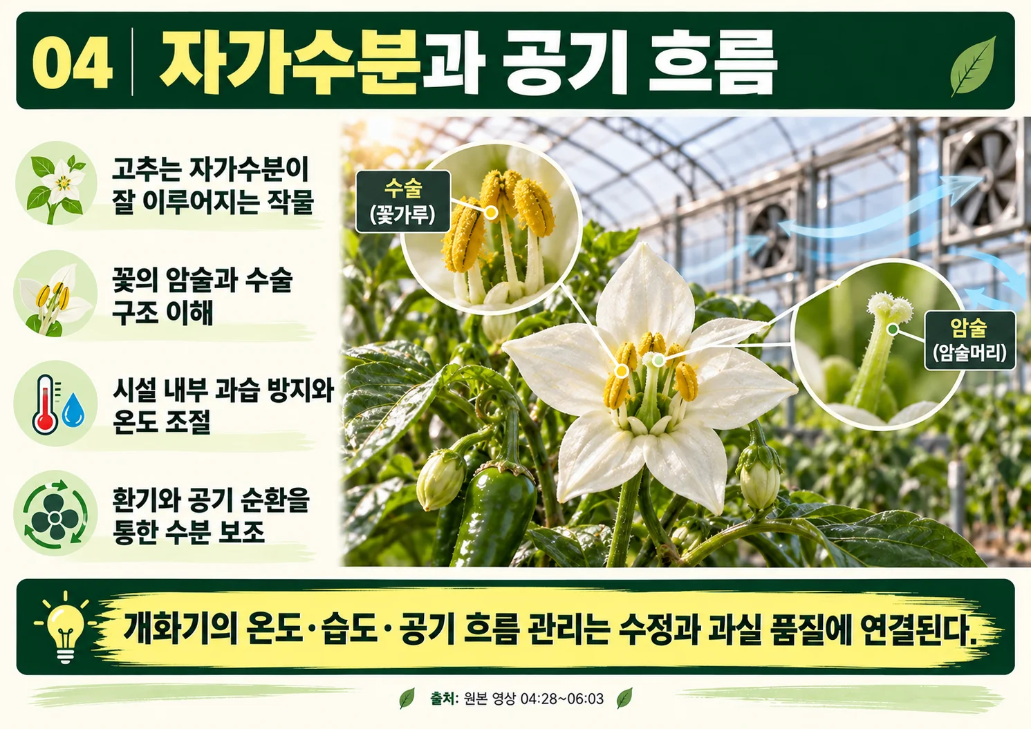04_자가수분과_공기_흐름.webp