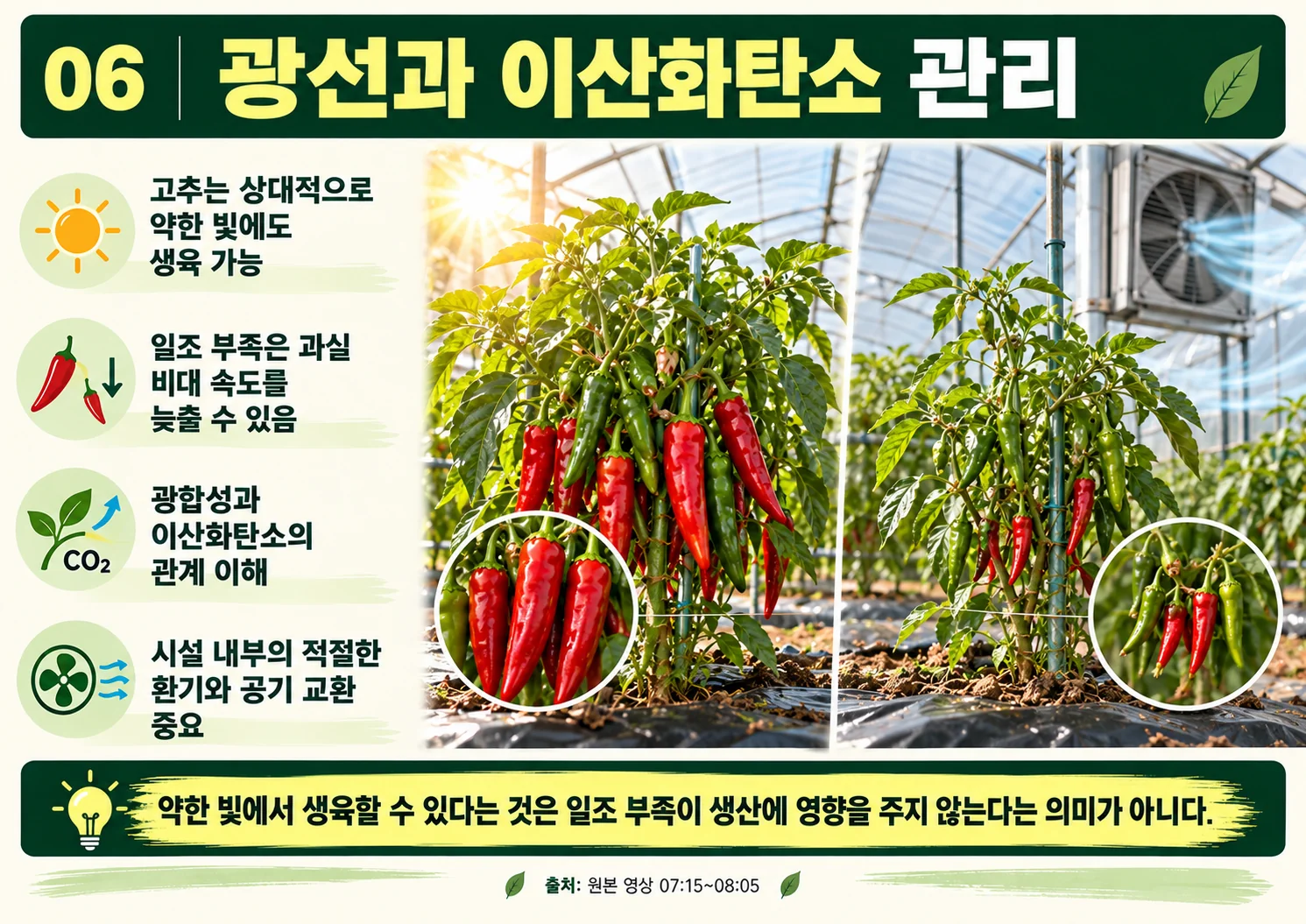 06_광선과_이산화탄소_관리.webp