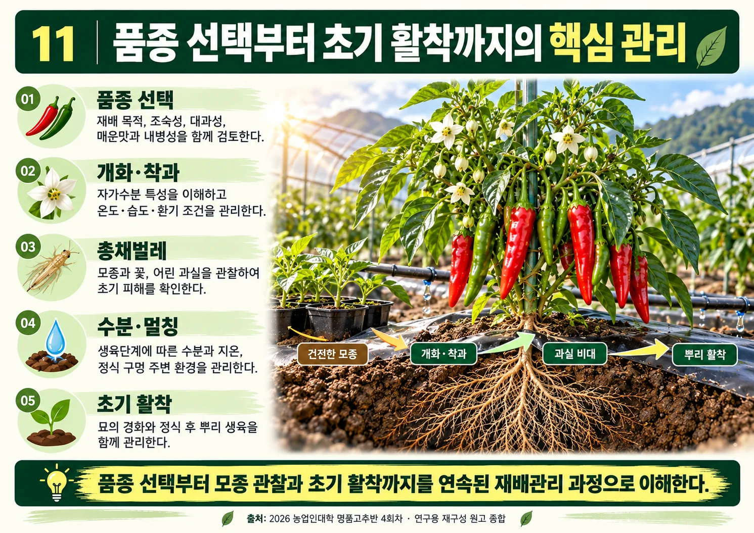 11_전체_핵심_요약.webp