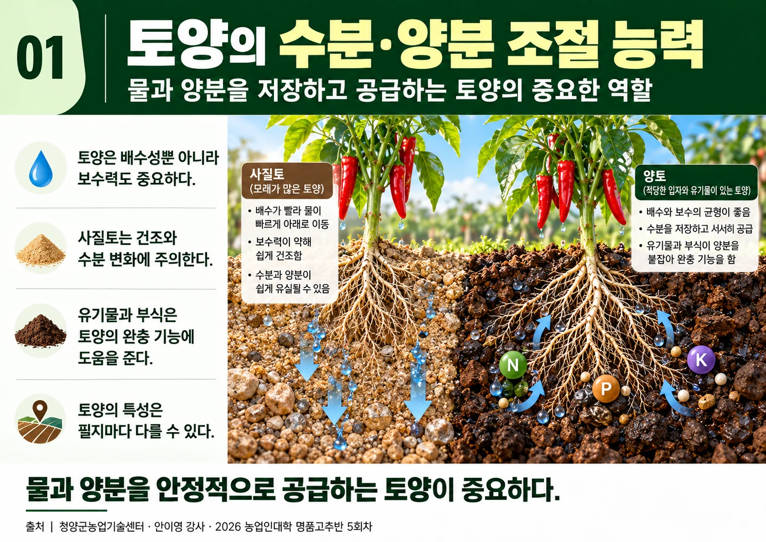 01_토양의수분양분조절능력.webp