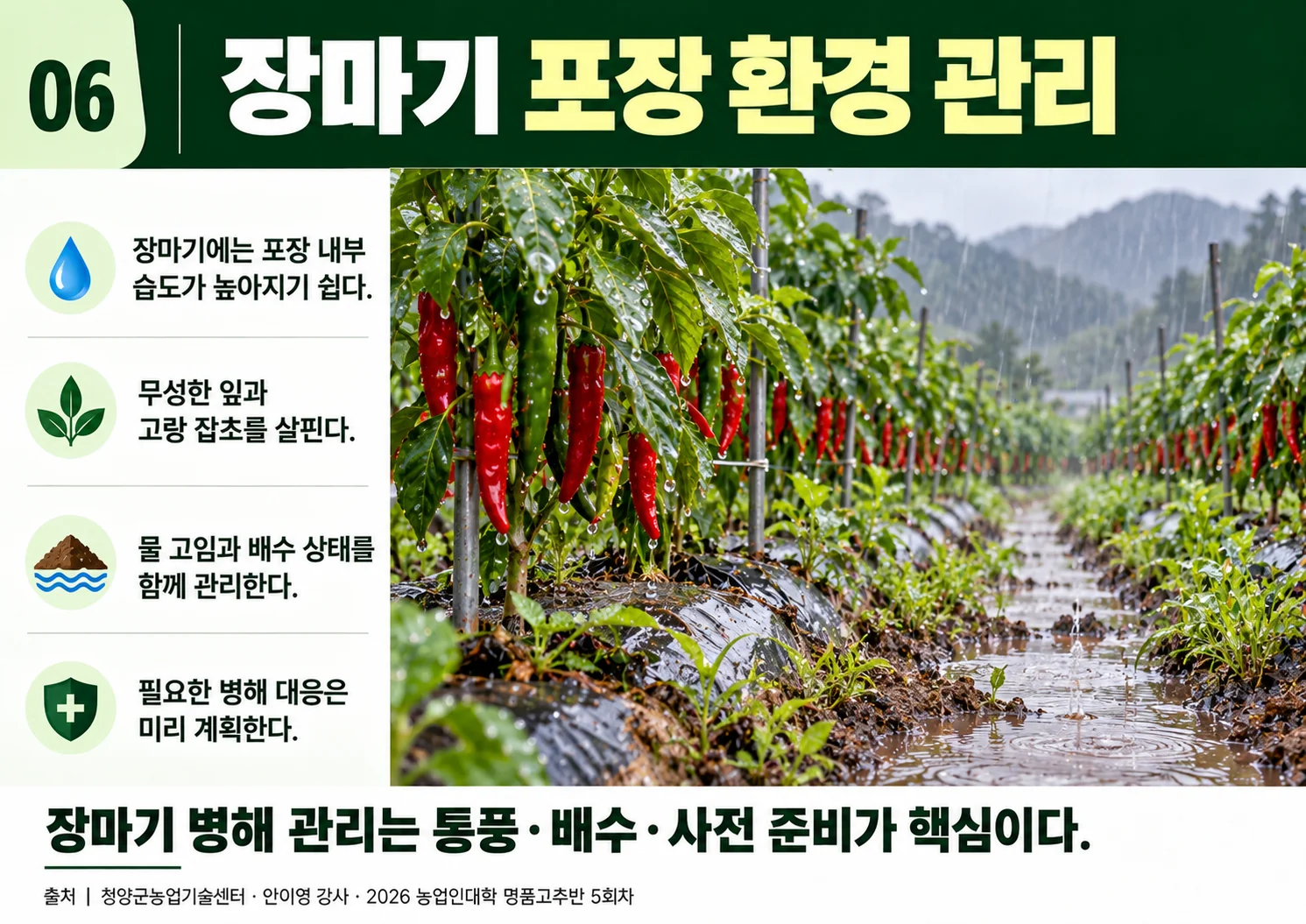 06_장마기포장환경관리.webp
