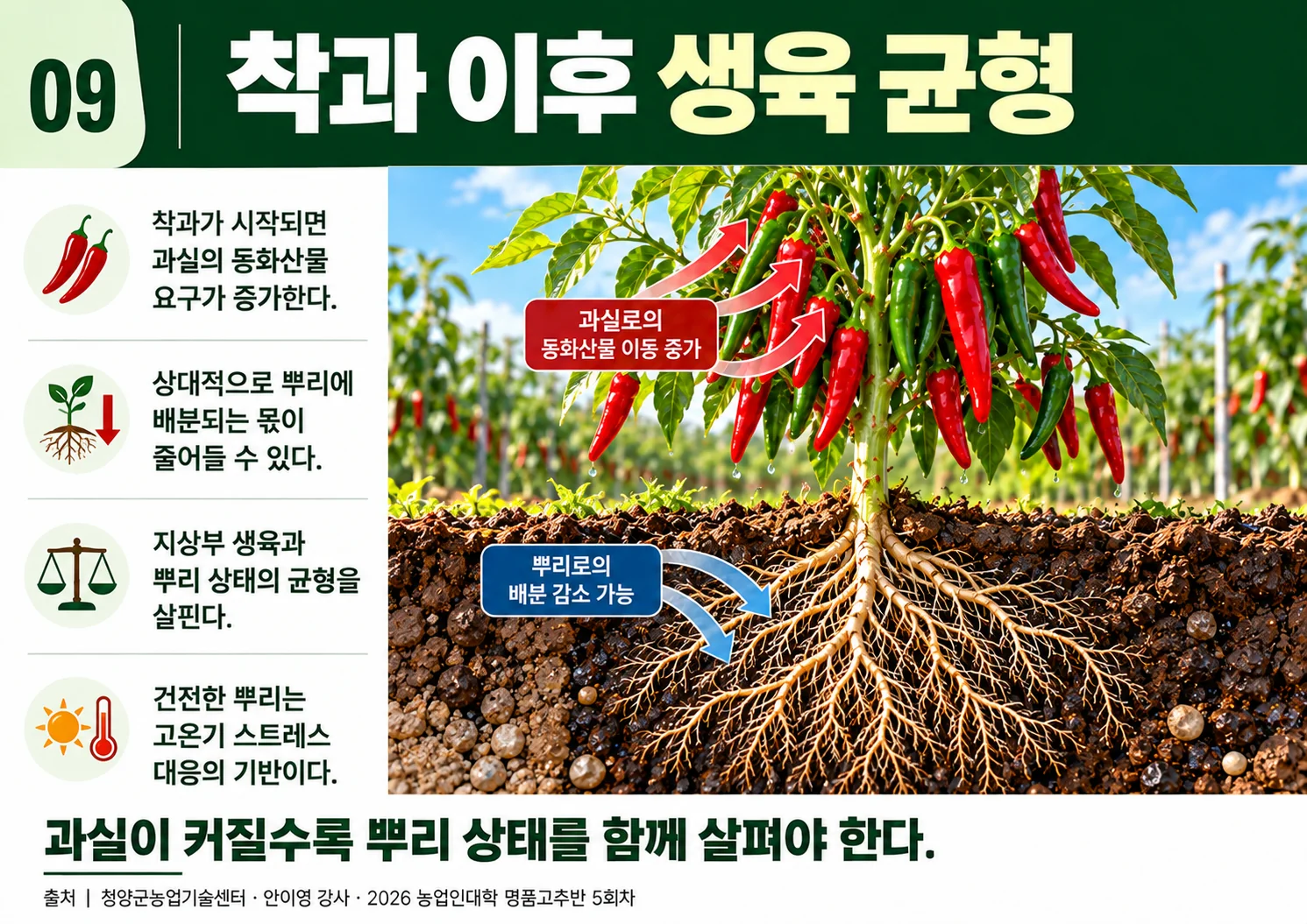 09_착과이후생육균형.webp