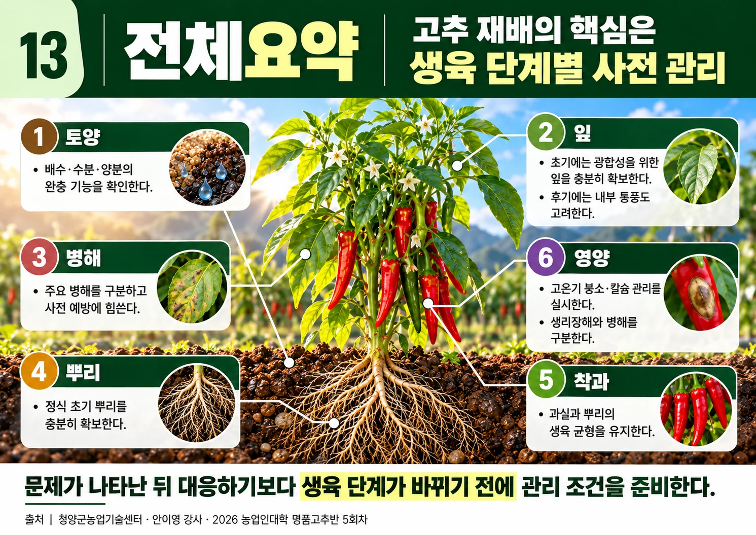 13_전체요약_생육단계별사전관리.webp