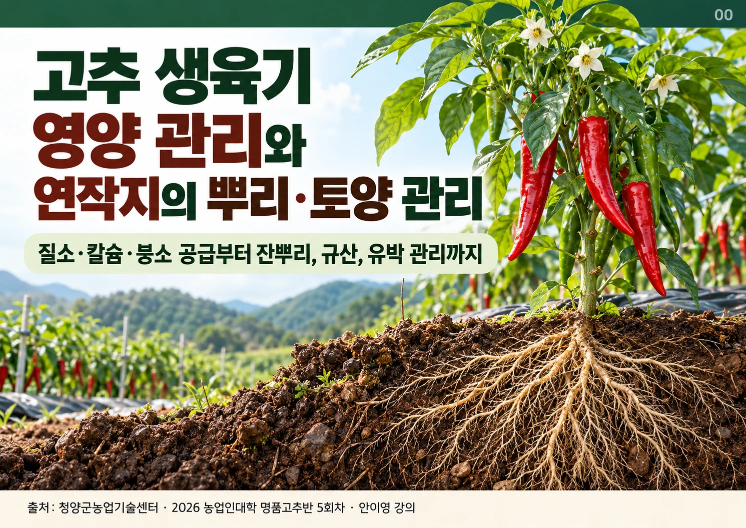 00_표지.webp