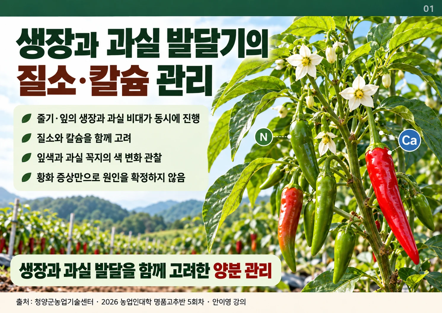 01_질소_칼슘_관리.webp