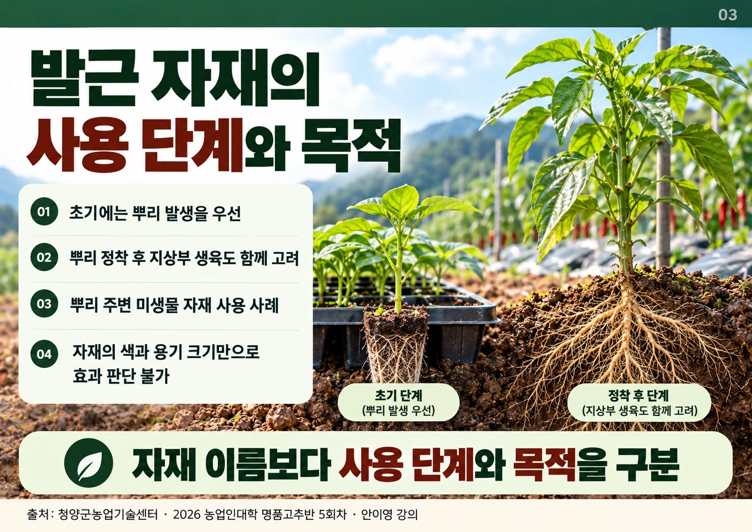 03_발근_자재.webp