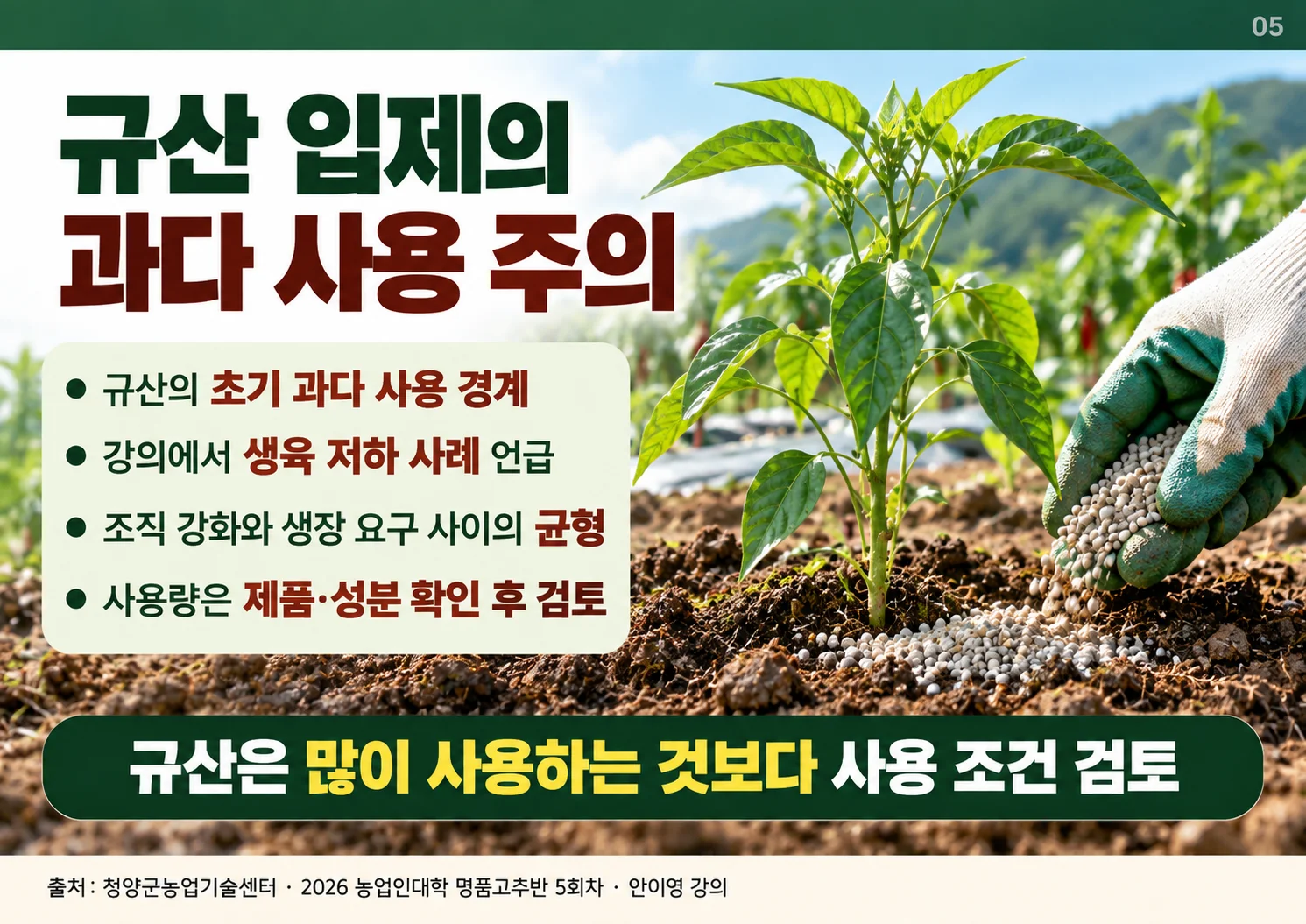 05_규산_과다사용.webp