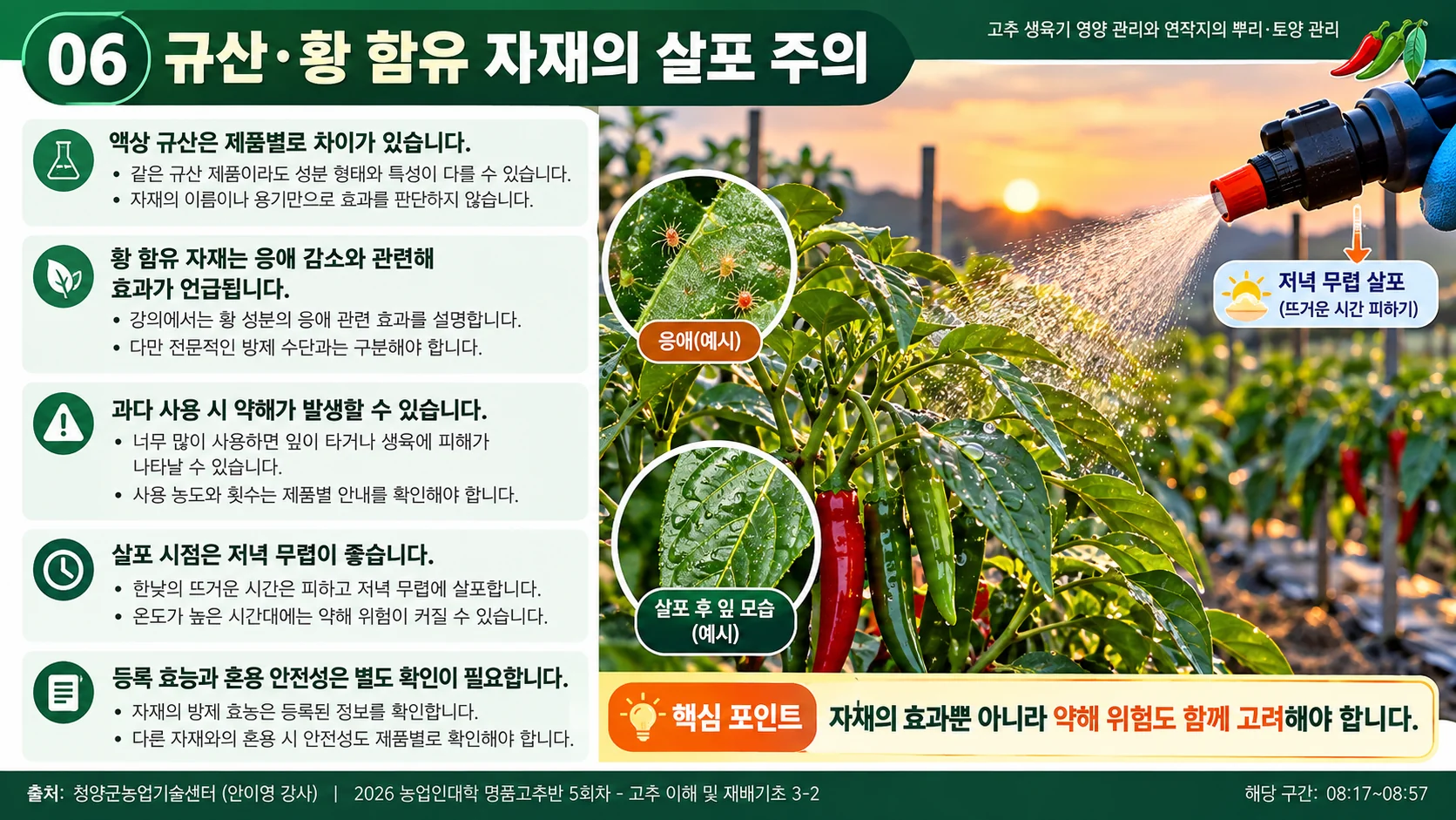 06_규산_황_살포.webp