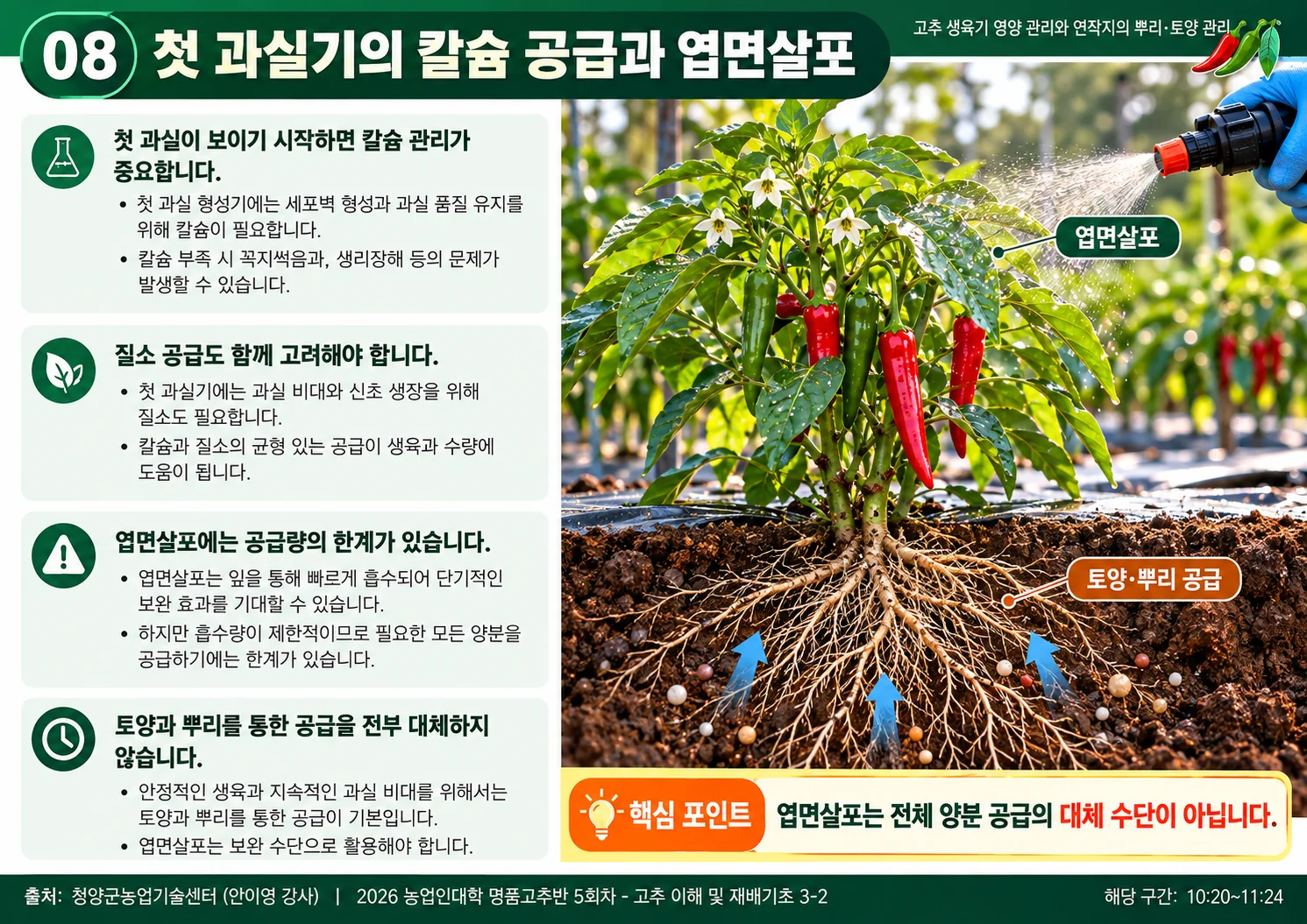 08_칼슘_엽면살포.webp