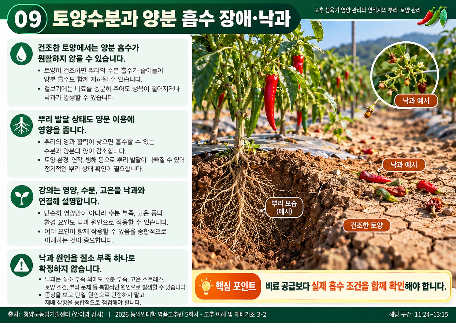 09_양분흡수_낙과.webp
