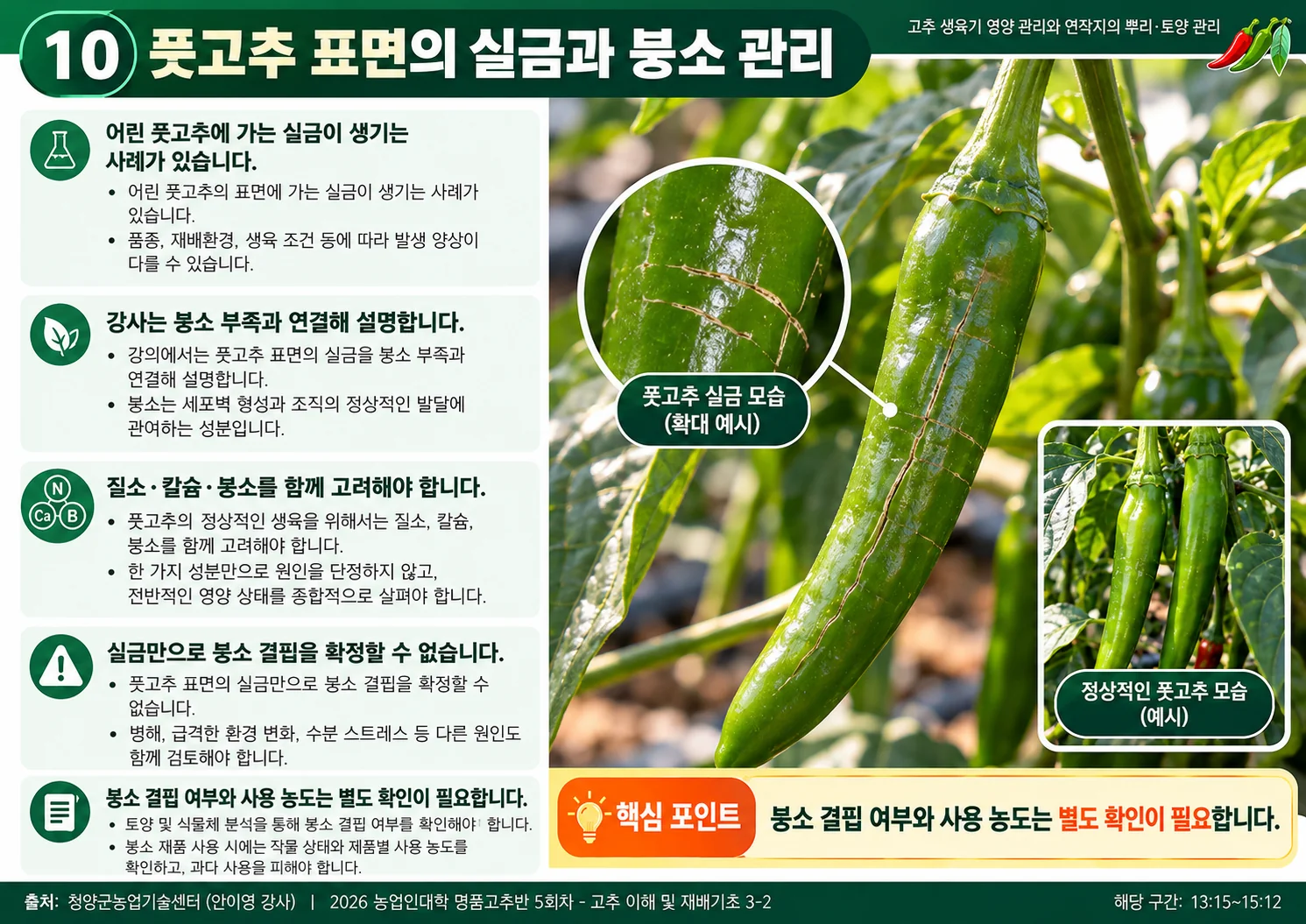 10_풋고추_실금.webp