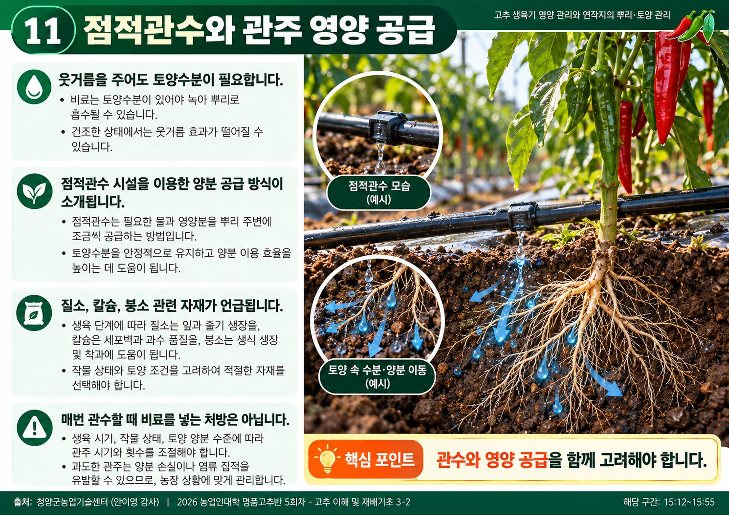 11_점적관수_관주.webp