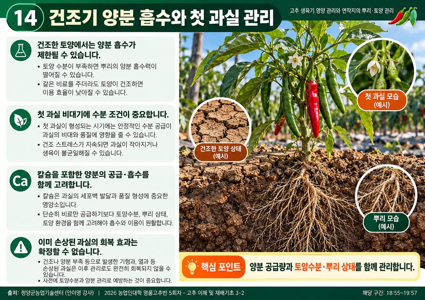 14_건조기_양분흡수.webp