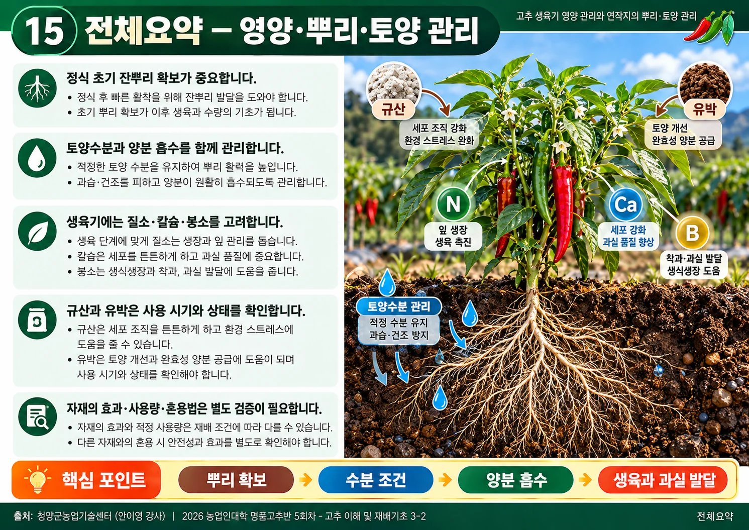 15_전체요약.webp
