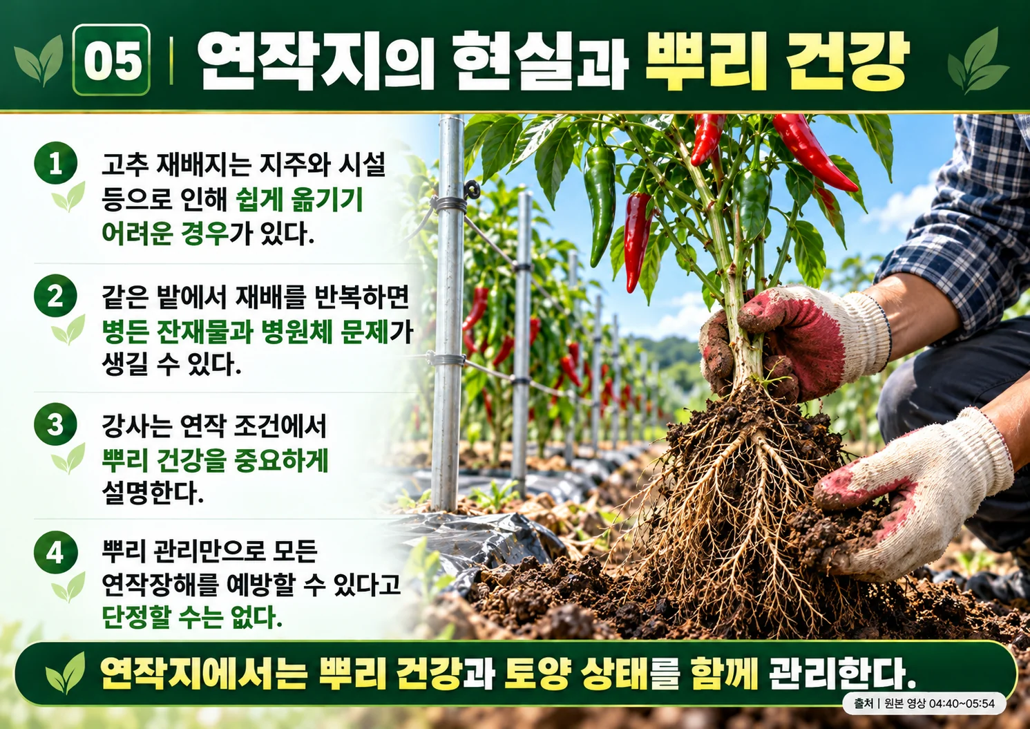 05_연작지의_현실과_뿌리_건강.webp