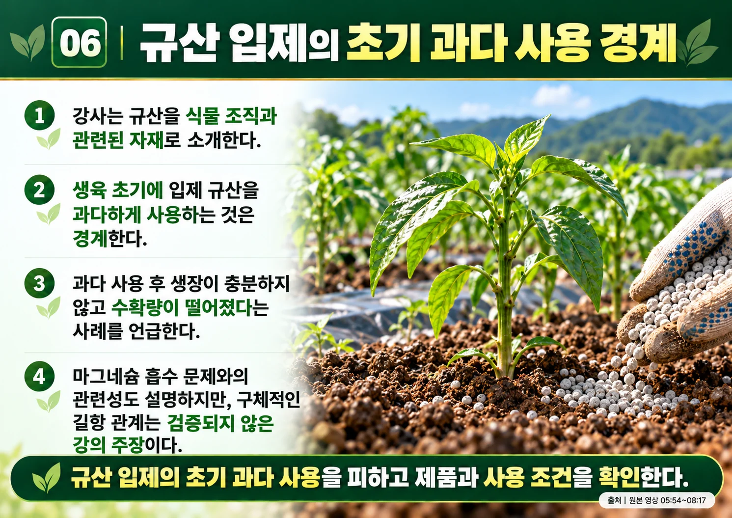 06_규산_입제의_초기_과다_사용_경계.webp