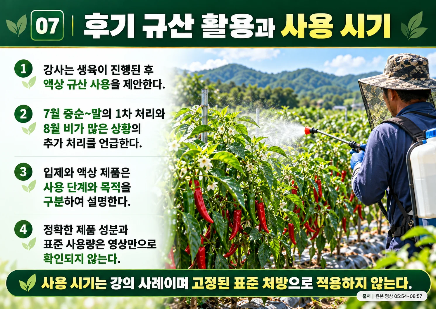 07_후기_규산_활용과_사용_시기.webp