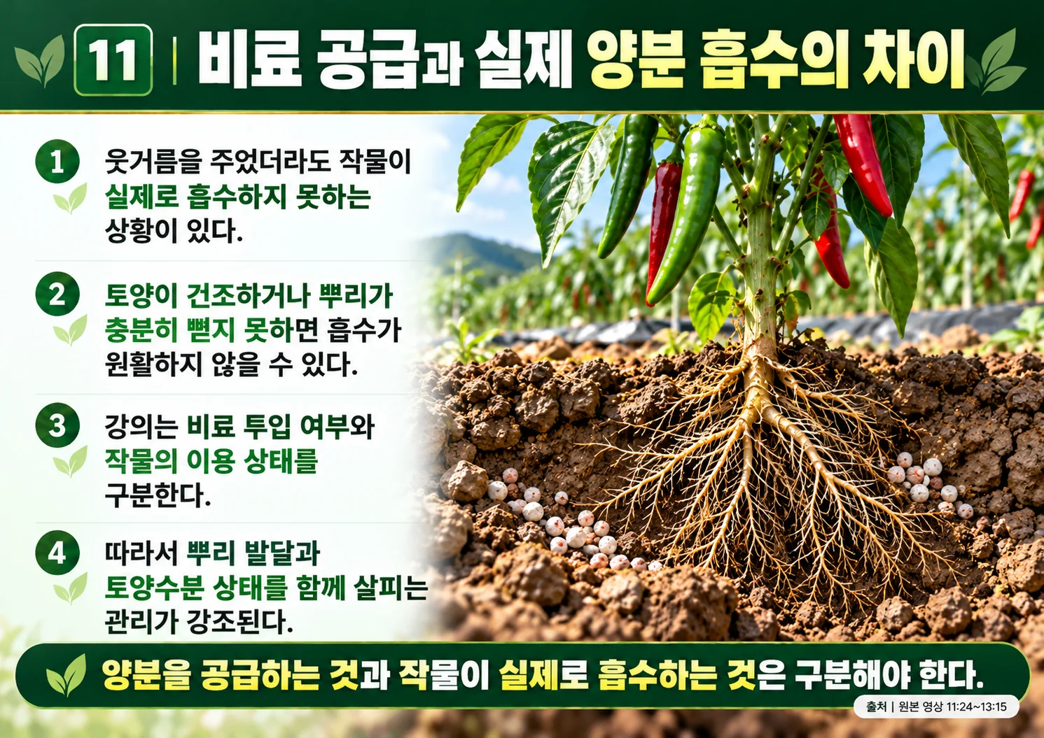 11_비료_공급과_실제_양분_흡수의_차이.webp