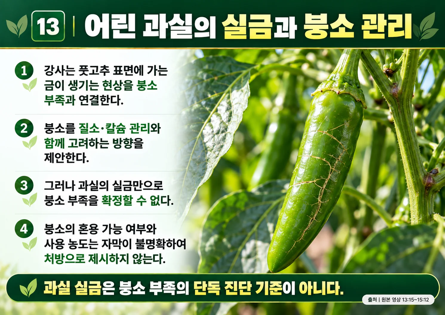 13_어린_과실의_실금과_붕소_관리.webp