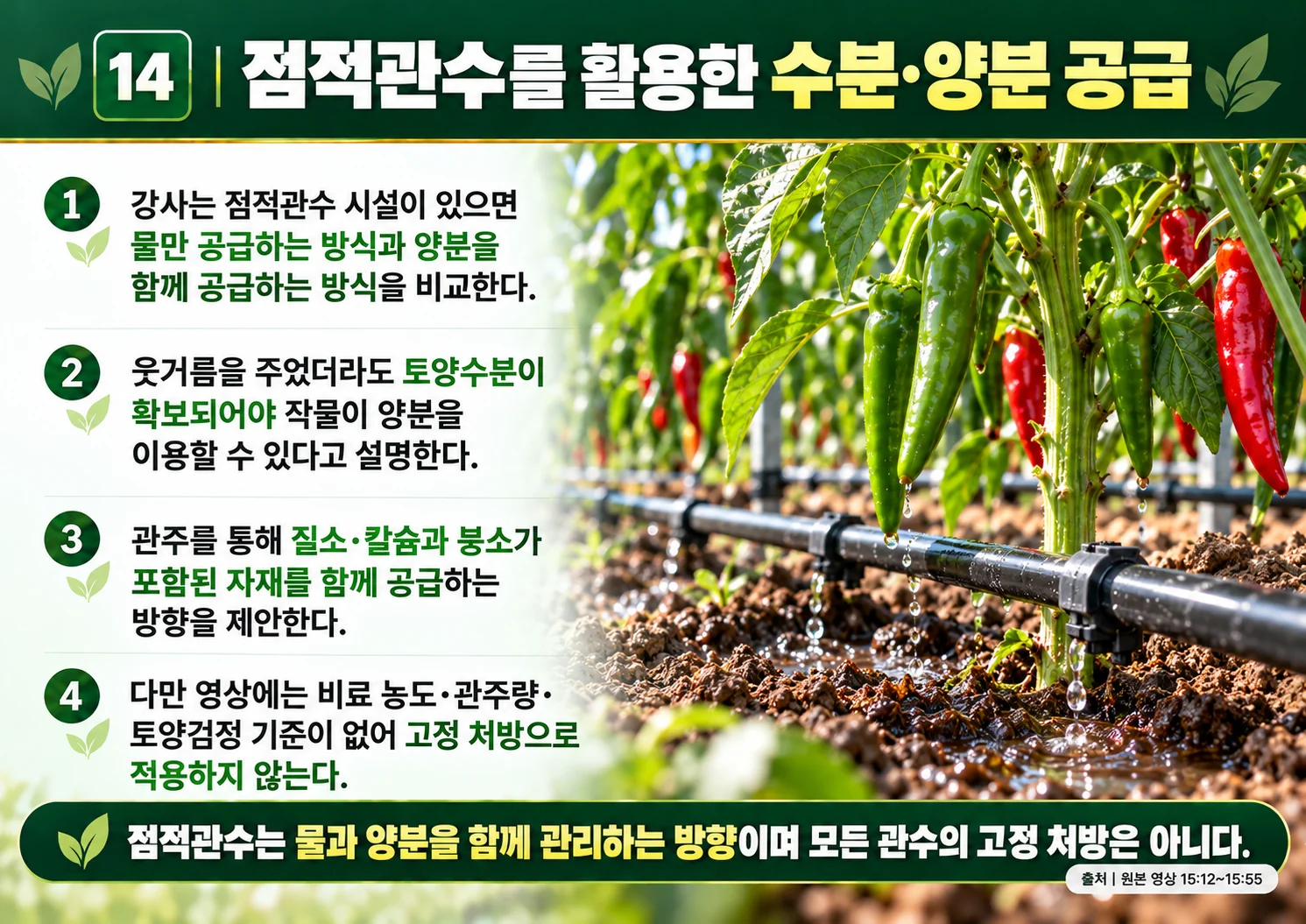 14_점적관수를_활용한_수분_양분_공급.webp