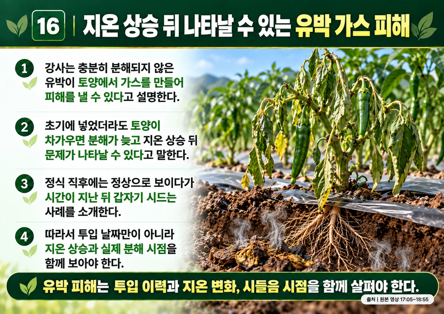 16_지온_상승_뒤_나타날_수_있는_유박_가스_피해.webp