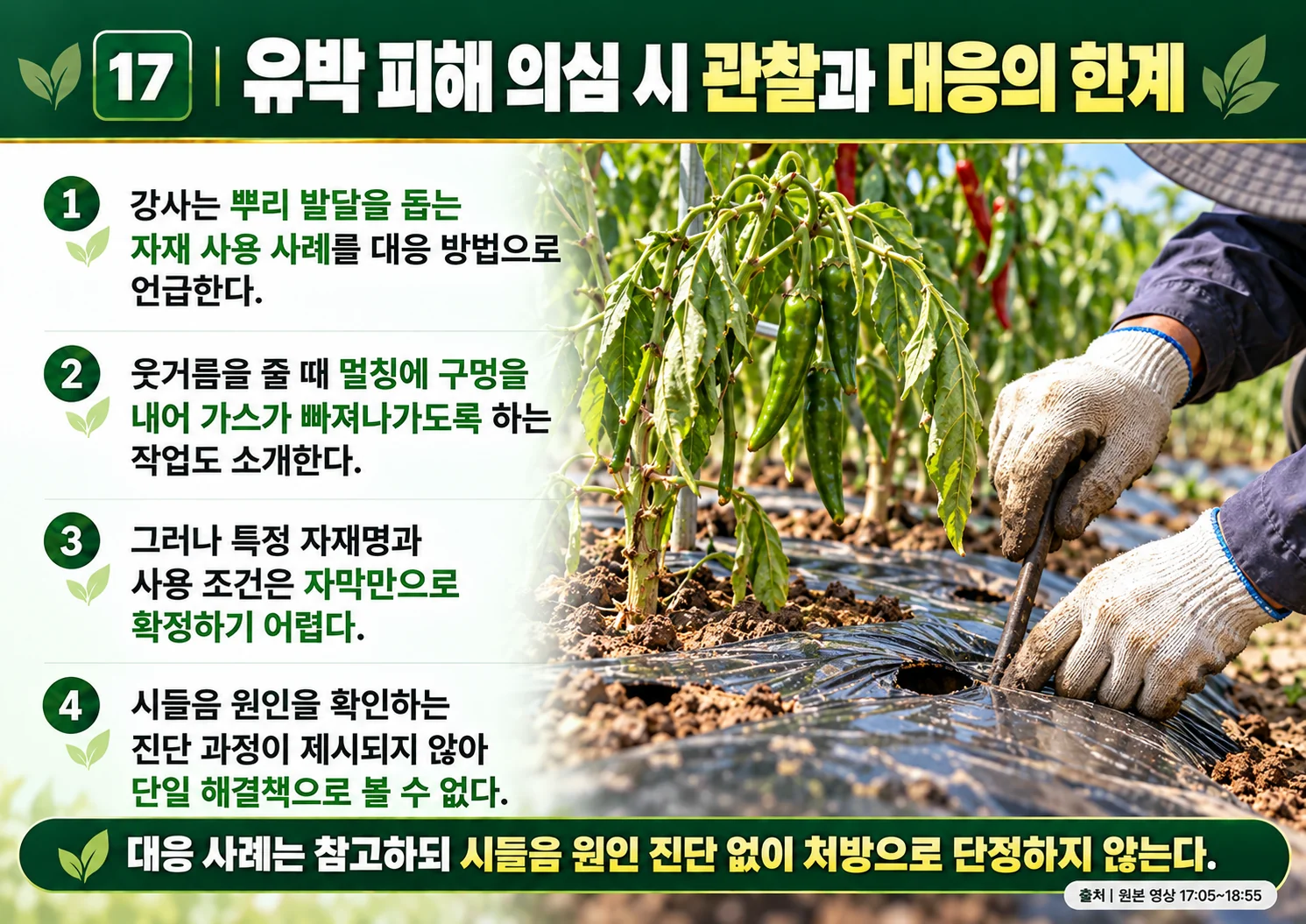 17_유박_피해_의심_시_관찰과_대응의_한계.webp
