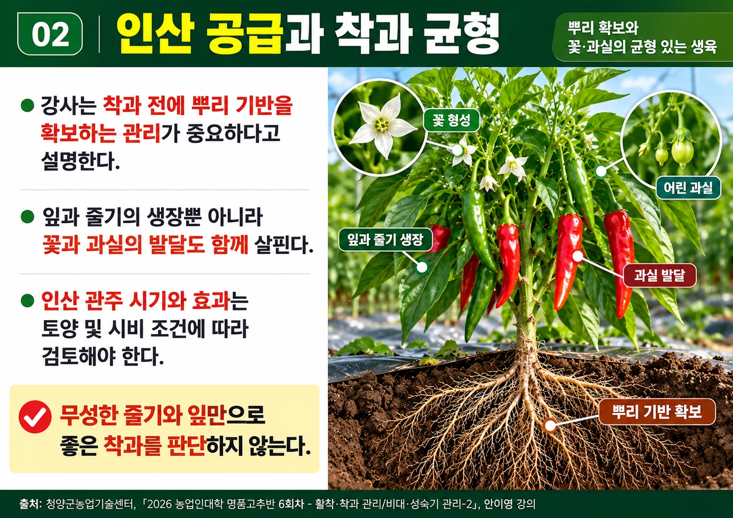 02_인산공급과착과균형.webp