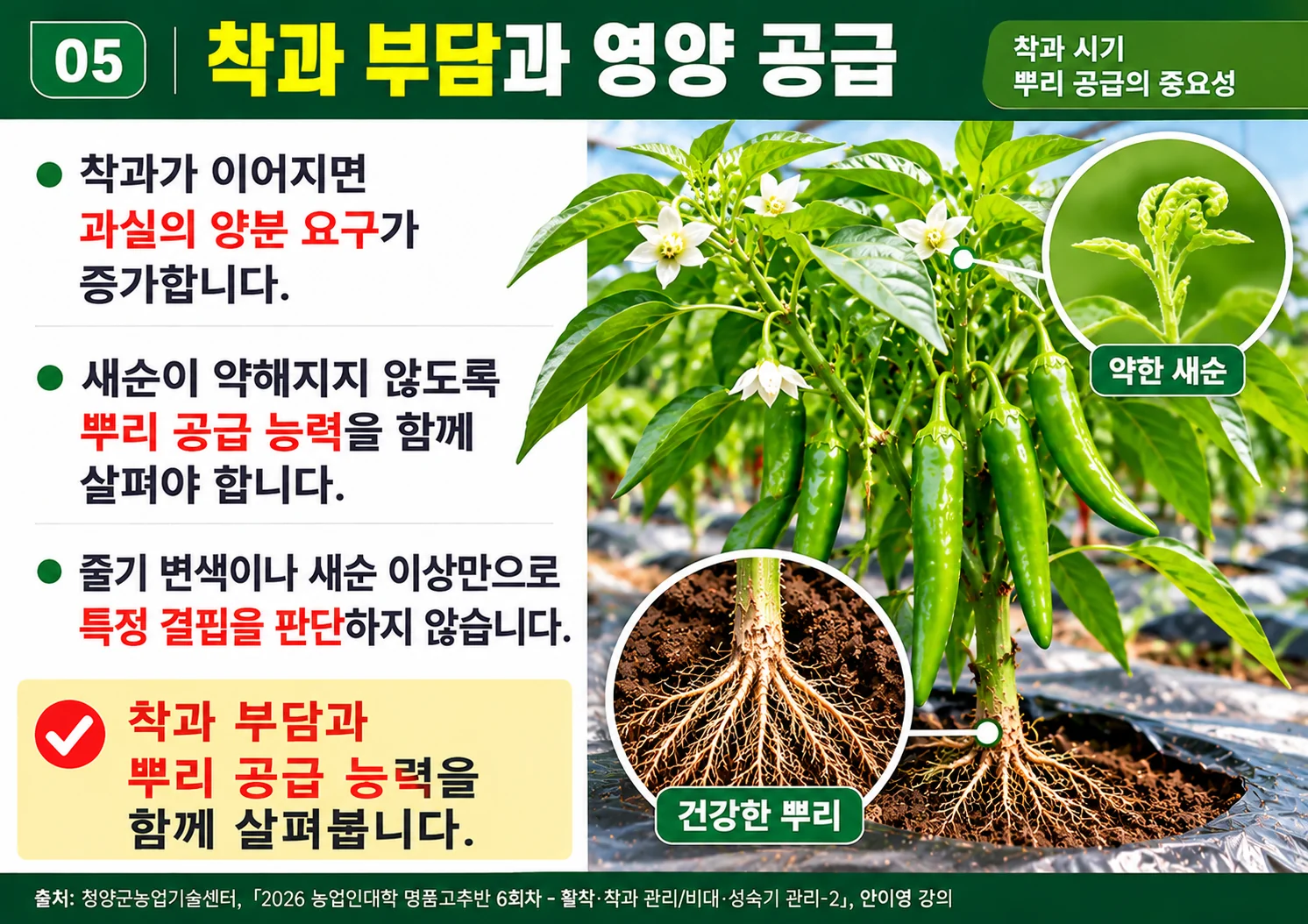 05_착과부담과영양공급.webp