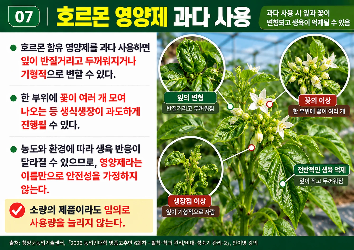 07_호르몬영양제과다사용.webp