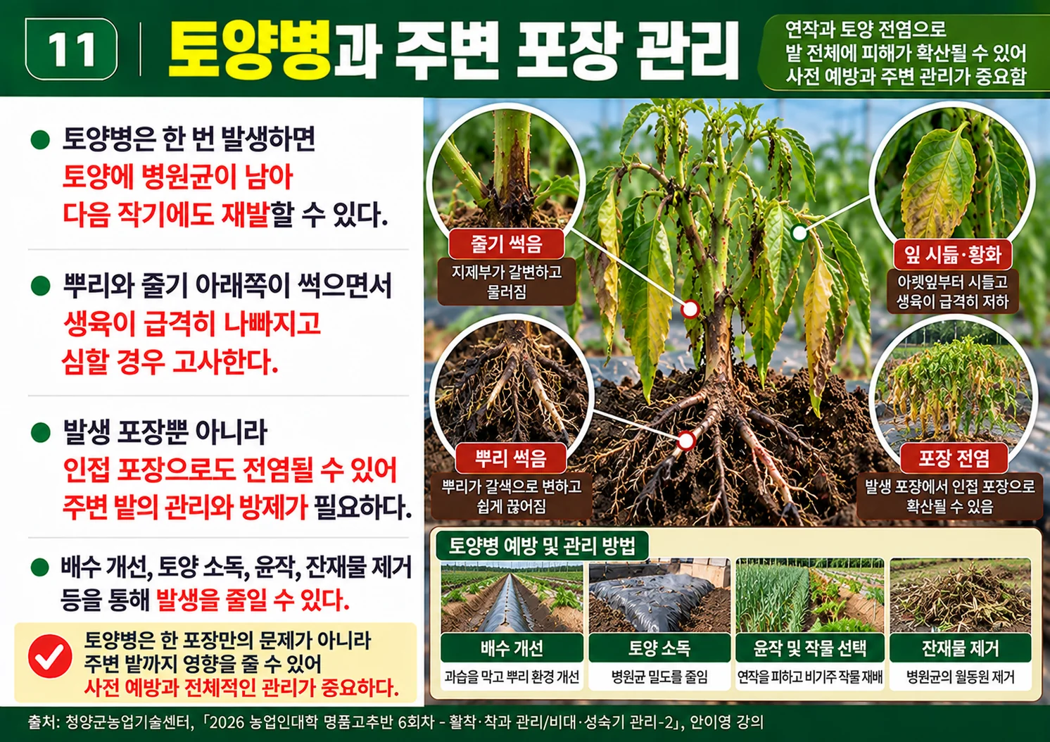 11_토양병과주변포장관리.webp