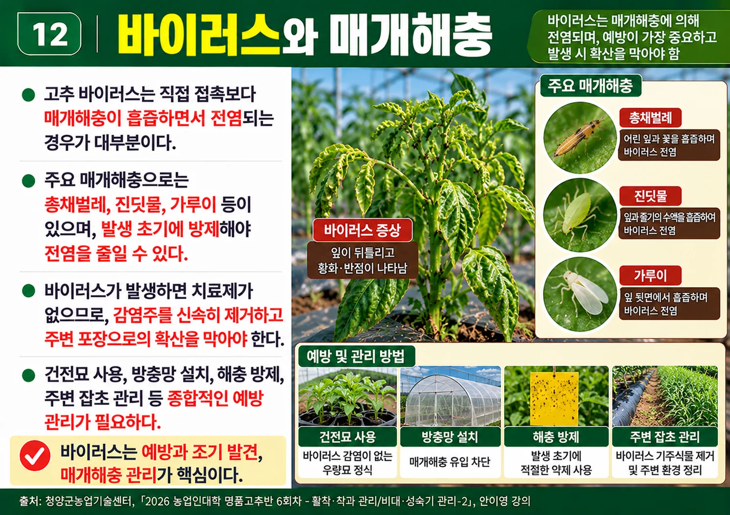 12_바이러스와매개해충.webp
