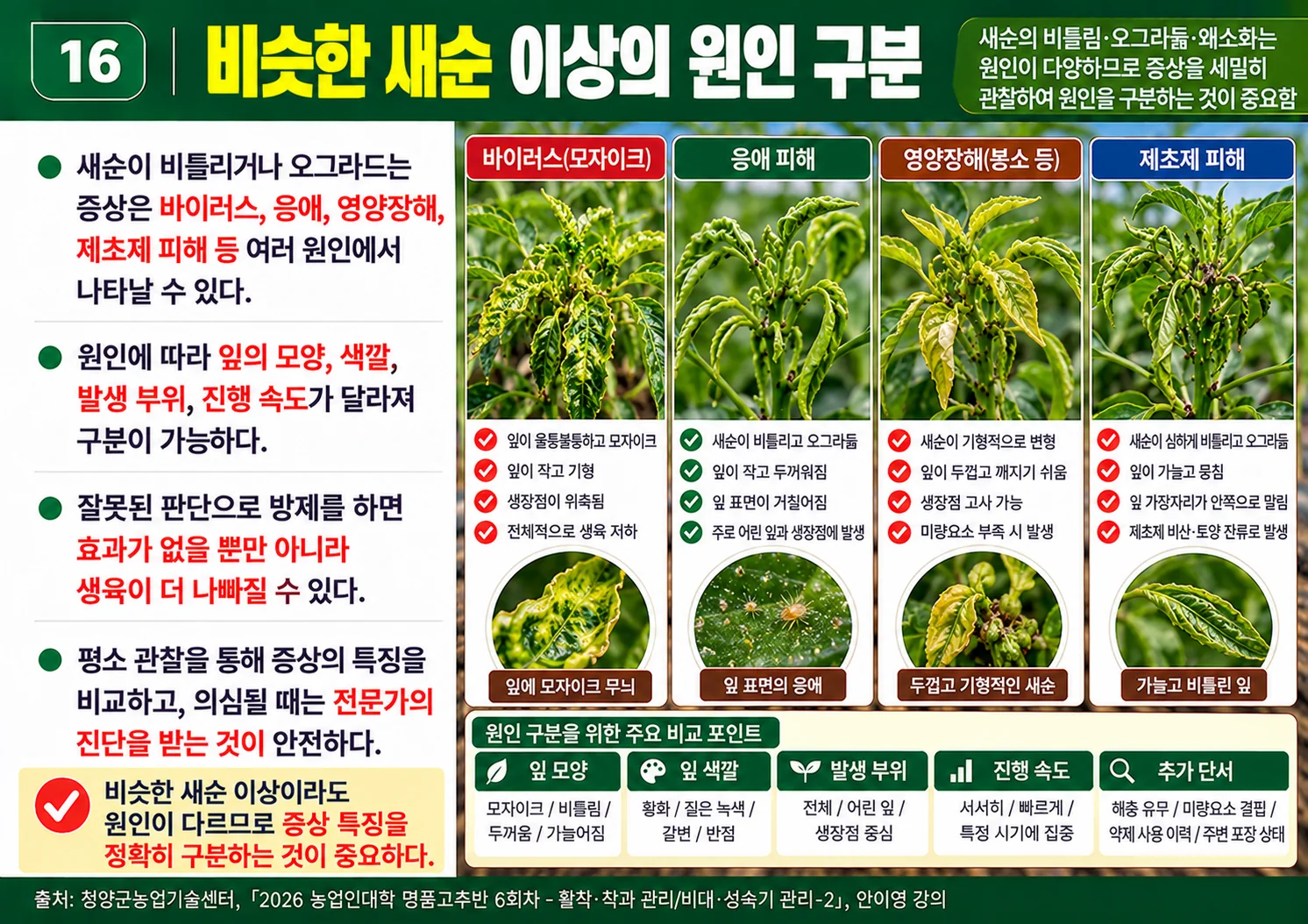 16_비슷한새순이상의원인구분.webp