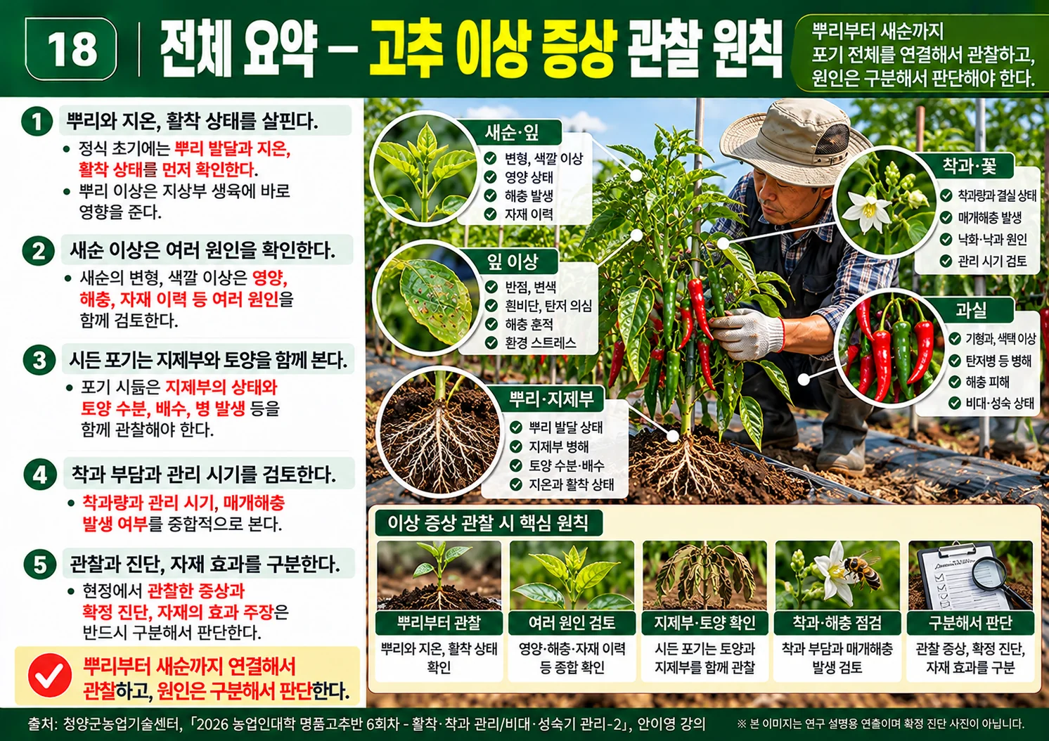 18_전체요약_고추이상증상관찰원칙.webp