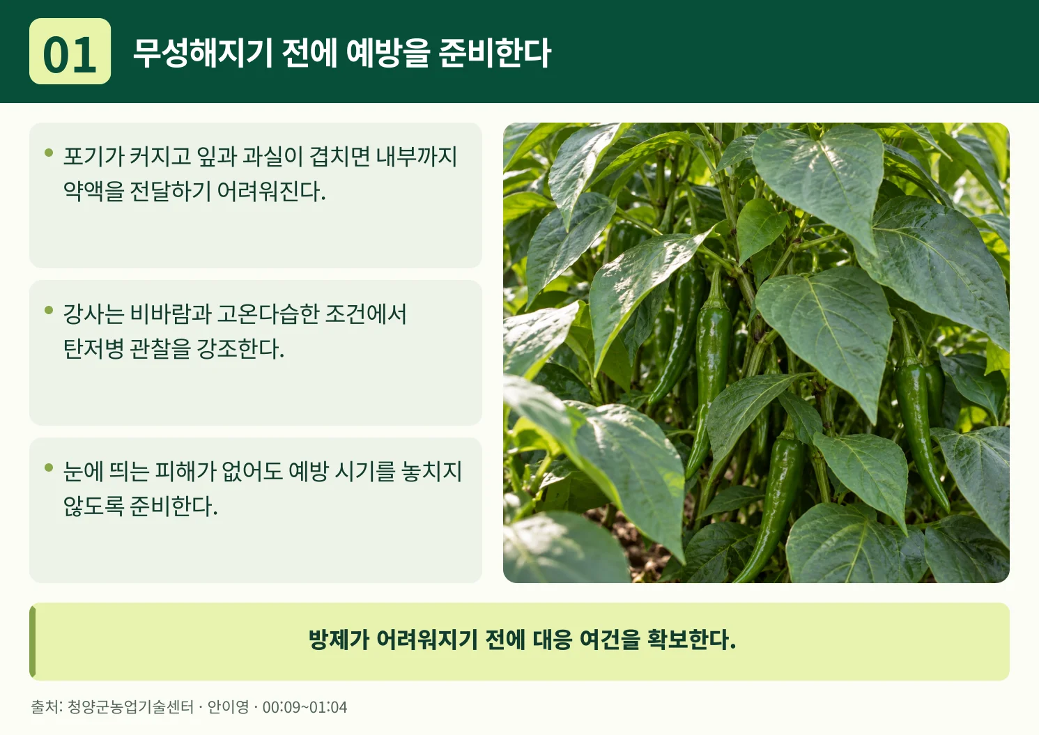 01_무성해지기_전에_예방을_준비한다.webp