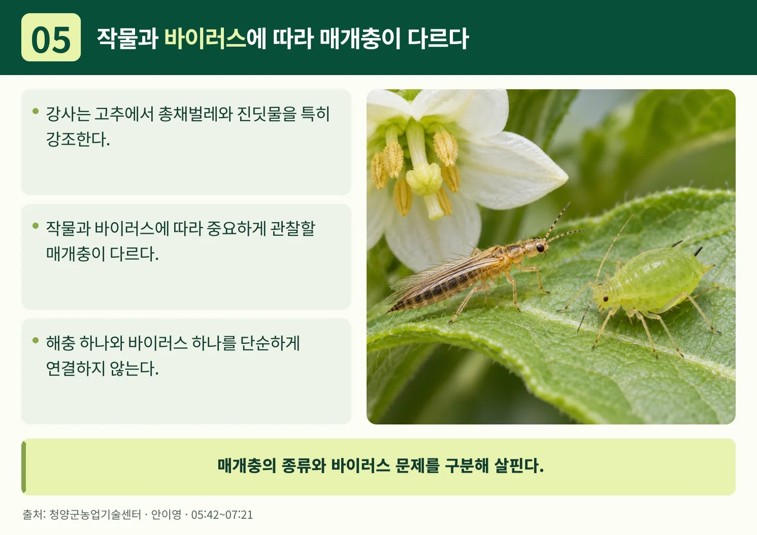 05_작물과_바이러스에_따라_매개충이_다르다.webp