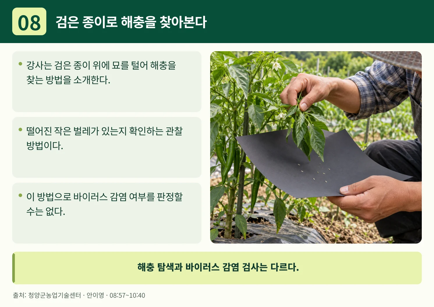 08_검은_종이로_해충을_찾아본다.webp