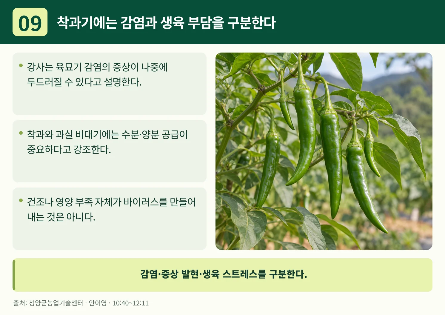 09_착과기에는_감염과_생육_부담을_구분한다.webp