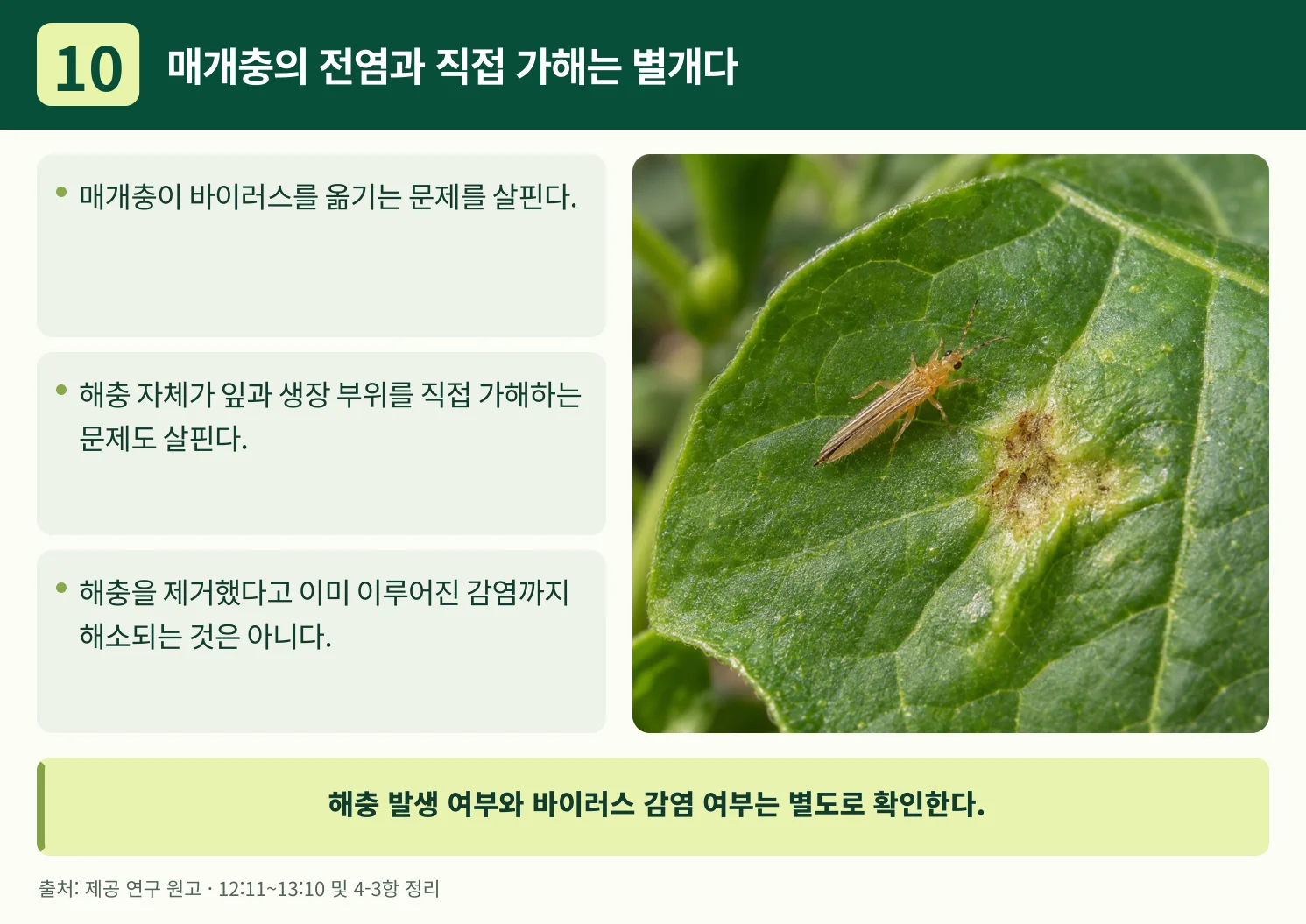 10_매개충의_전염과_직접_가해는_별개다.webp