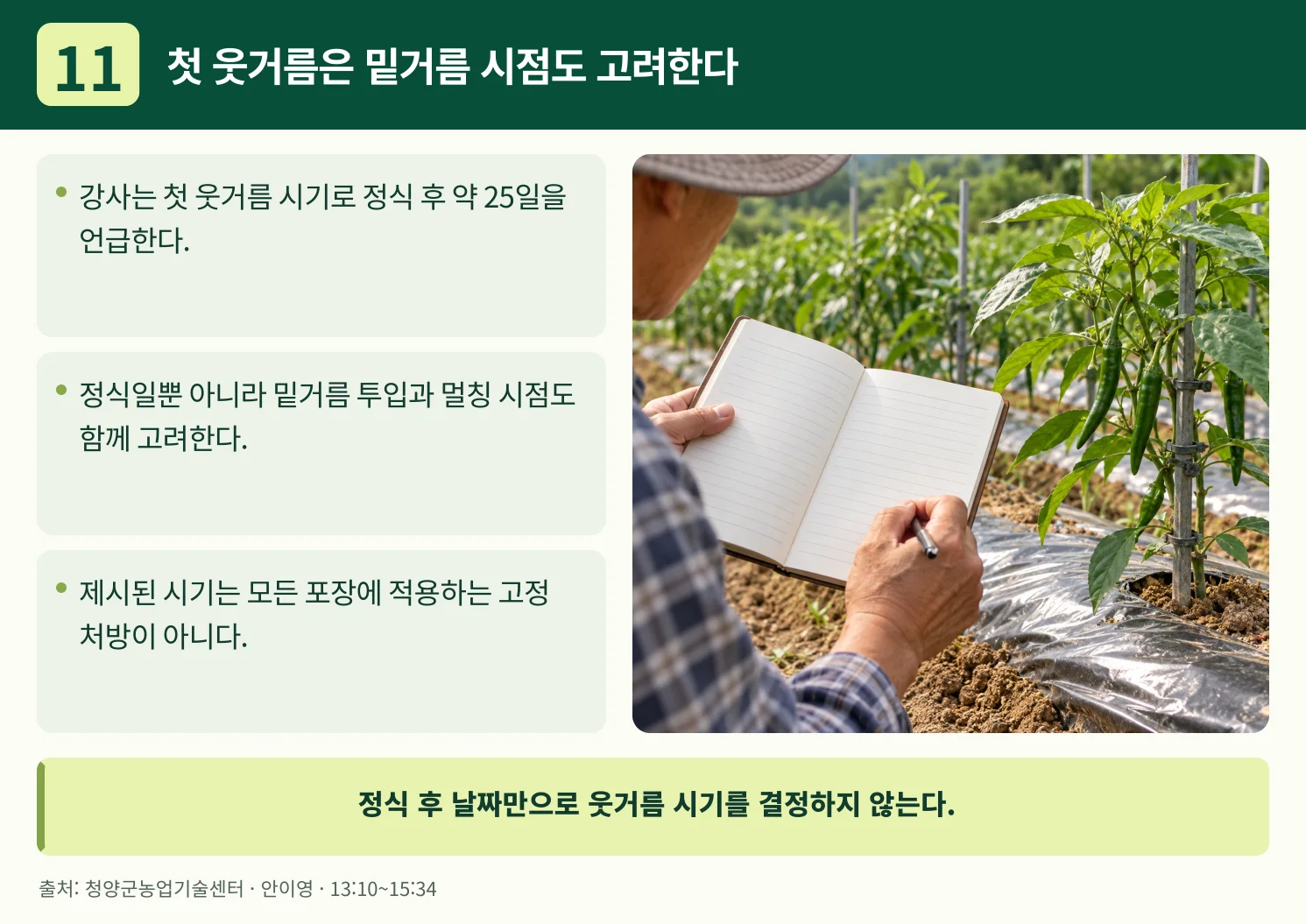 11_첫_웃거름은_밑거름_시점도_고려한다.webp